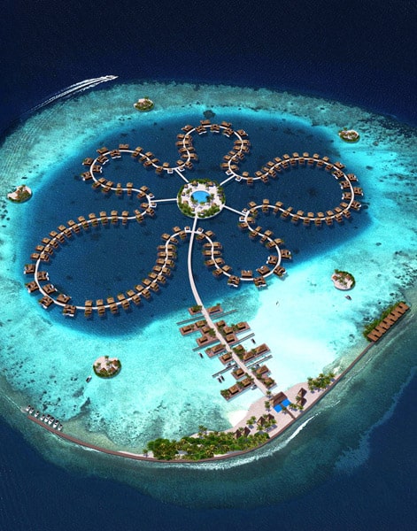 the-ocean-flower-maldives