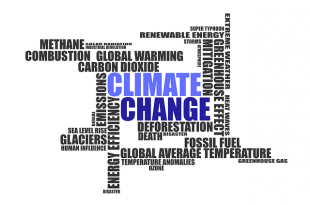 climate change summit